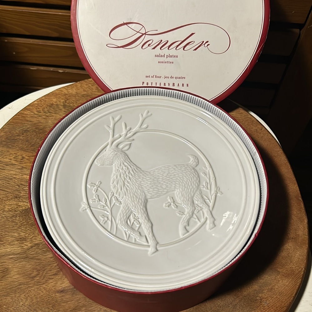 Pottery Barn Donder Set Of 4 Salad plate’s
